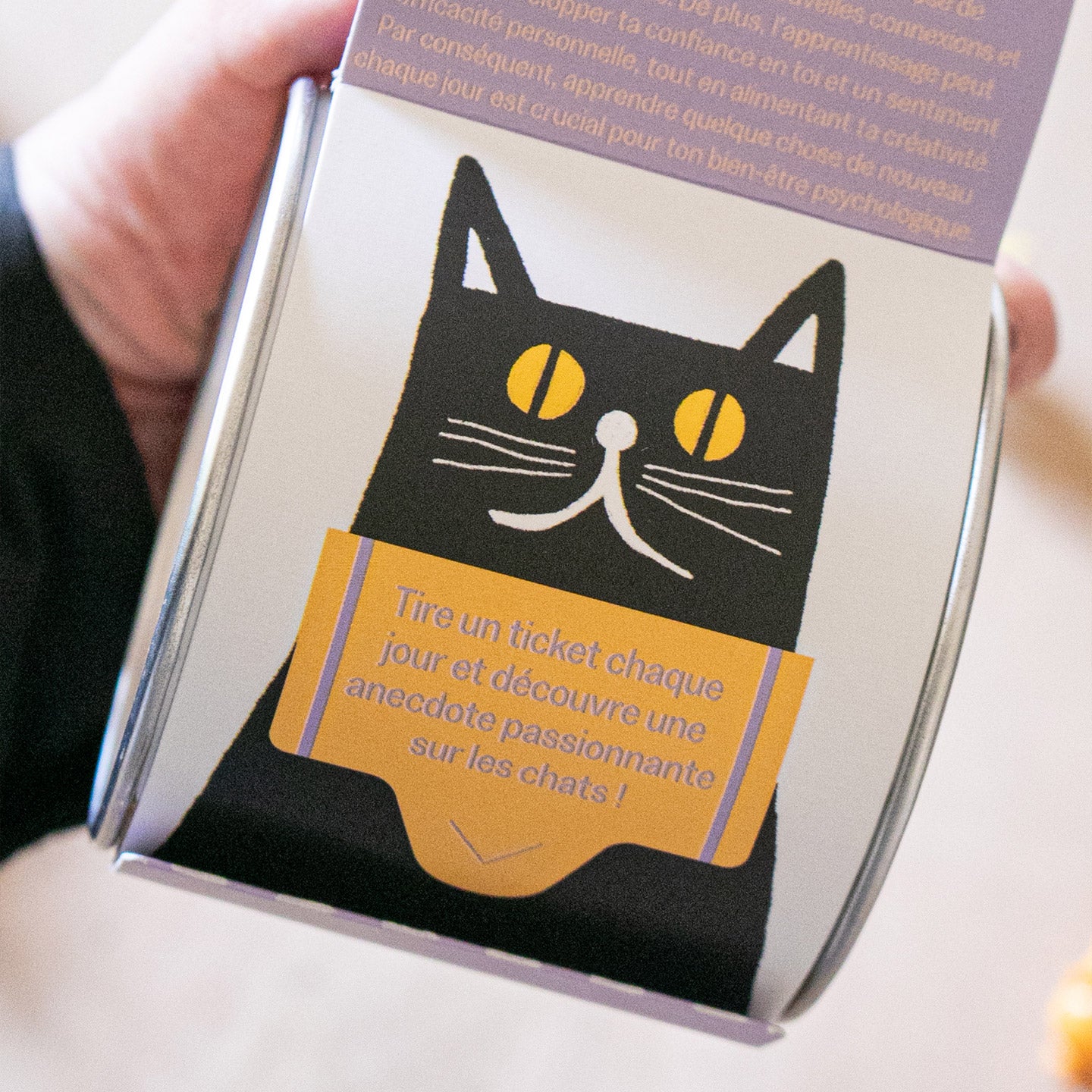 Livre '100 faits curieux sur les chats' avec couverture illustrée, sur fond blanc.
