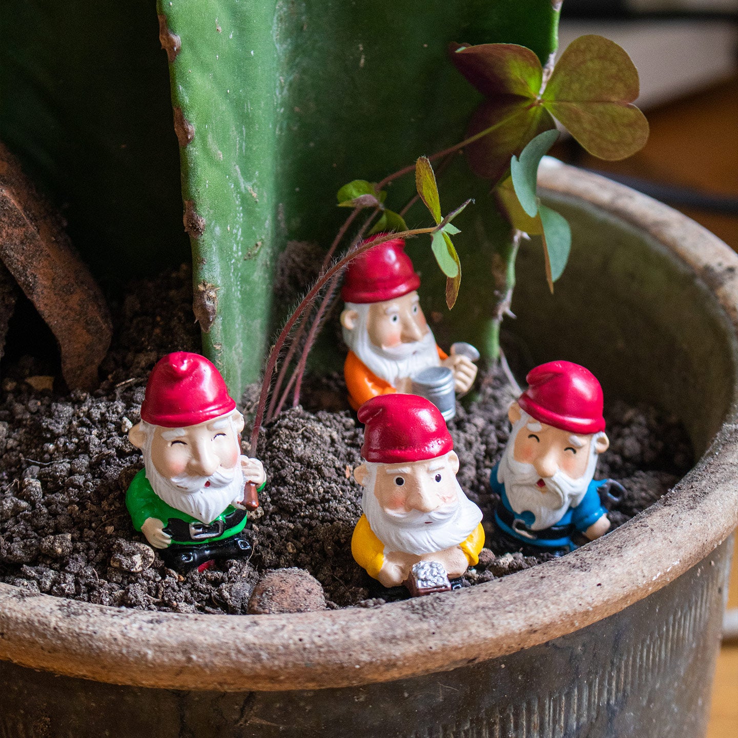Nains de pot de plante en céramique colorée sur fond blanc
