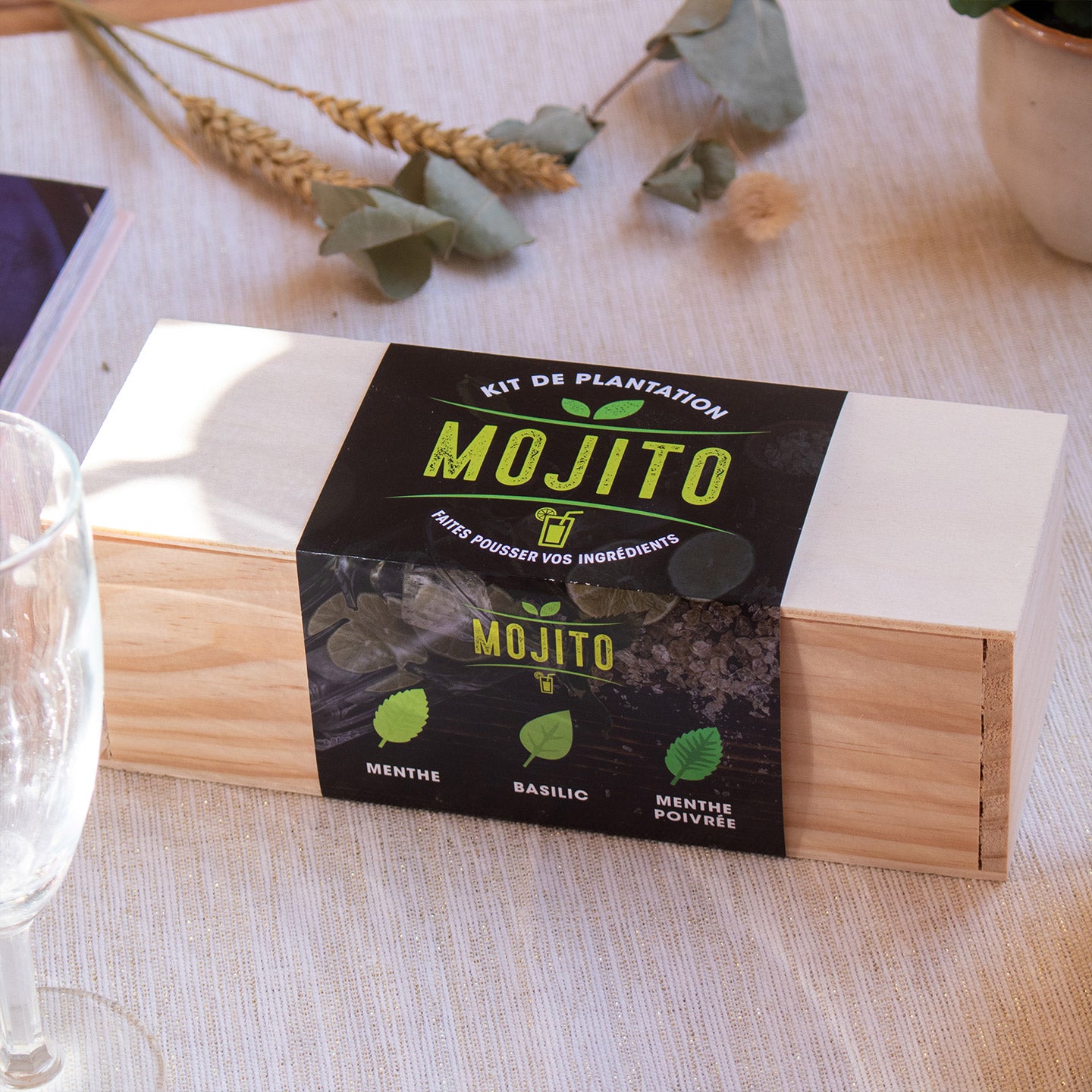 Kit de plantation spécial Mojito – Mieux Que Des Fleurs