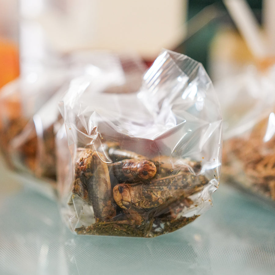 Coffret d'insectes comestibles pour un apéro original