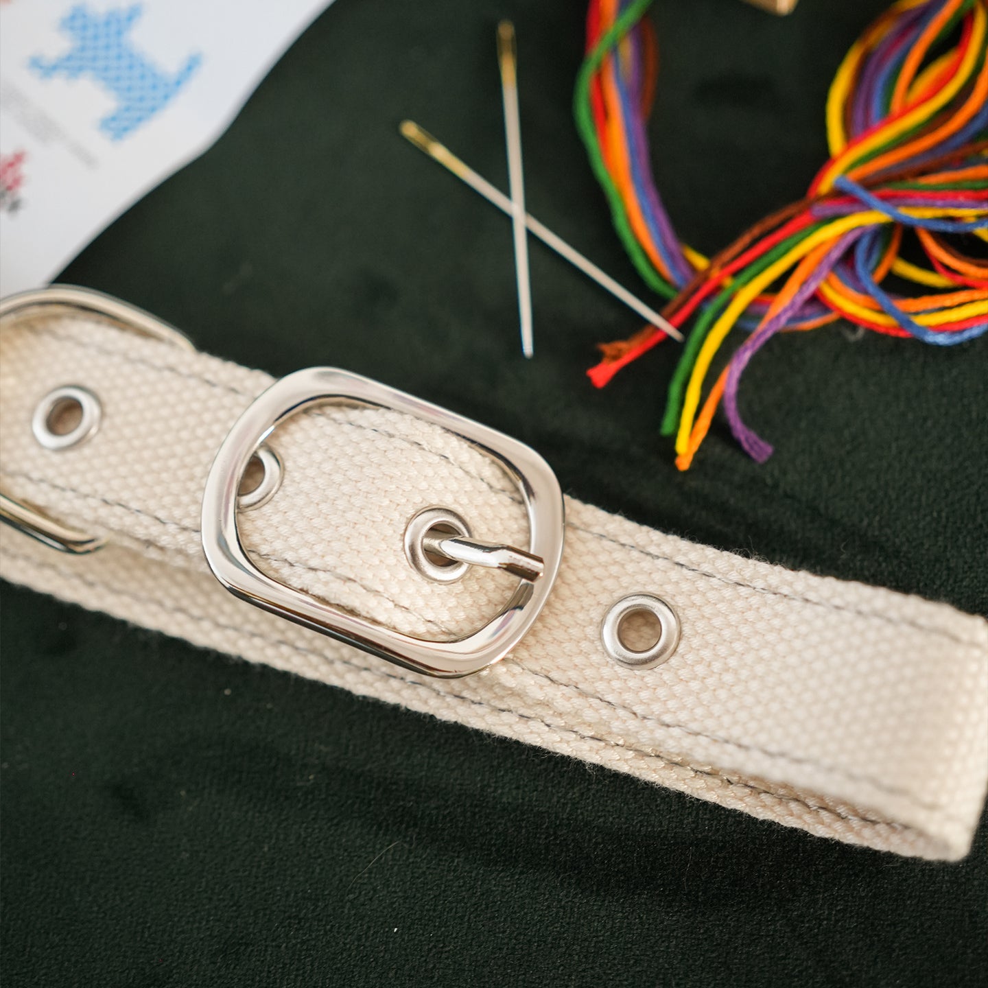 Un collier DIY pour chien personnalisable - mieux que des fleurs