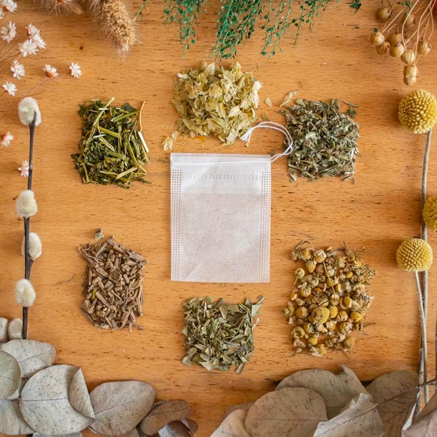 Coffret herbes à chats - mieux que des fleurs