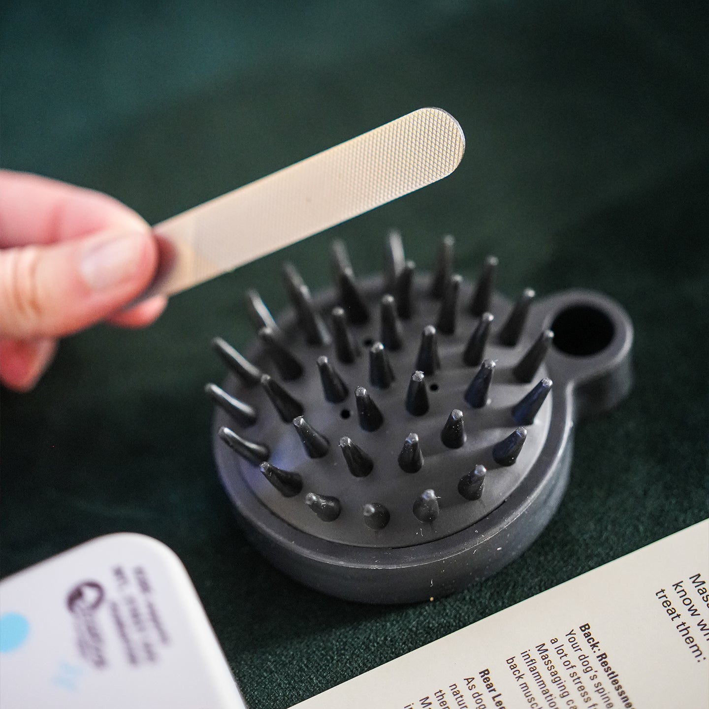 Kit pour chien | Aller au SPA - Mieux Que Des Fleurs