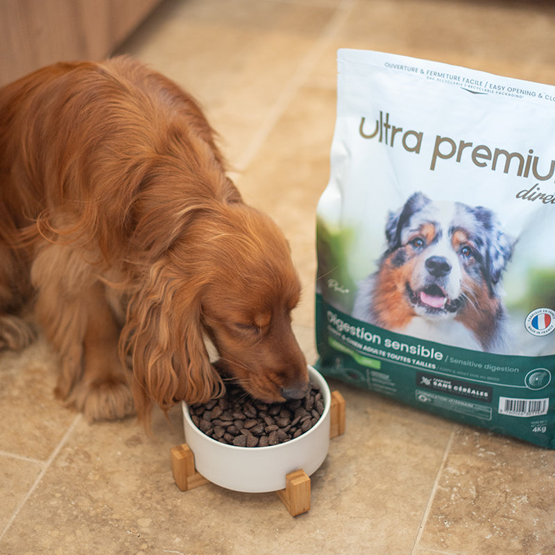 -25% pour votre animal chez Ultra Premium Direct (croquettes, pâtées et friandises)