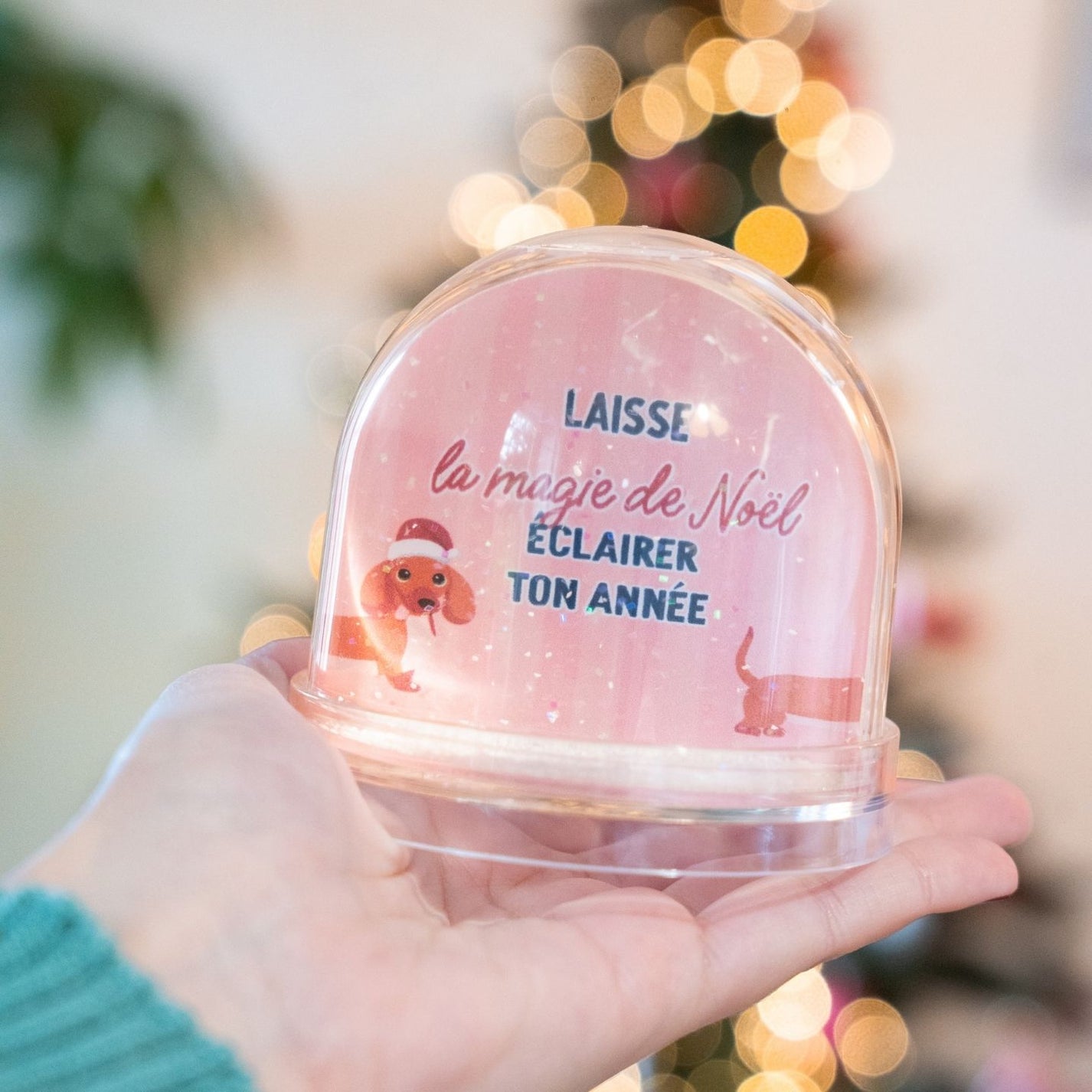 Boule à neige avec teckel en bonnet de Noël, vue de côté