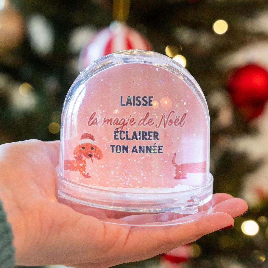 Boule à neige avec teckel en bonnet de Noël, vue de face