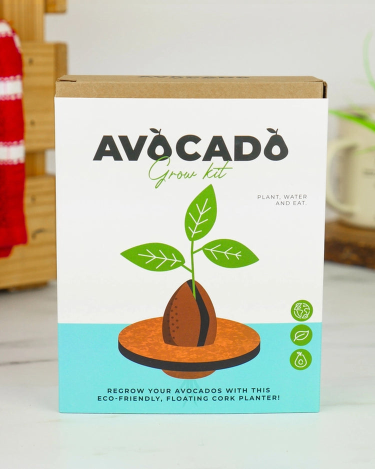 Jardinière flottante en liège avec noyau d'avocat en germination