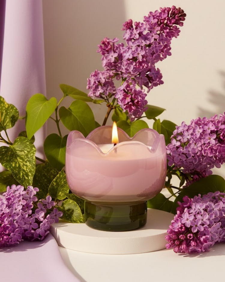Bougie tulipe lila avec texture délicate et parfum gardenia