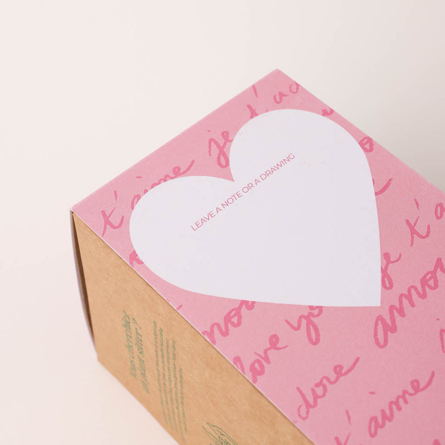 Diffuseur en terre cuite avec texture rustique pour plantes