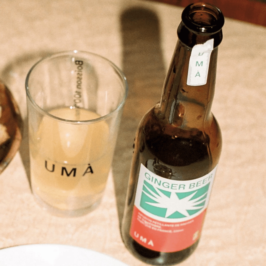 Bouteille de ginger beer bio avec étiquette colorée et design moderne.