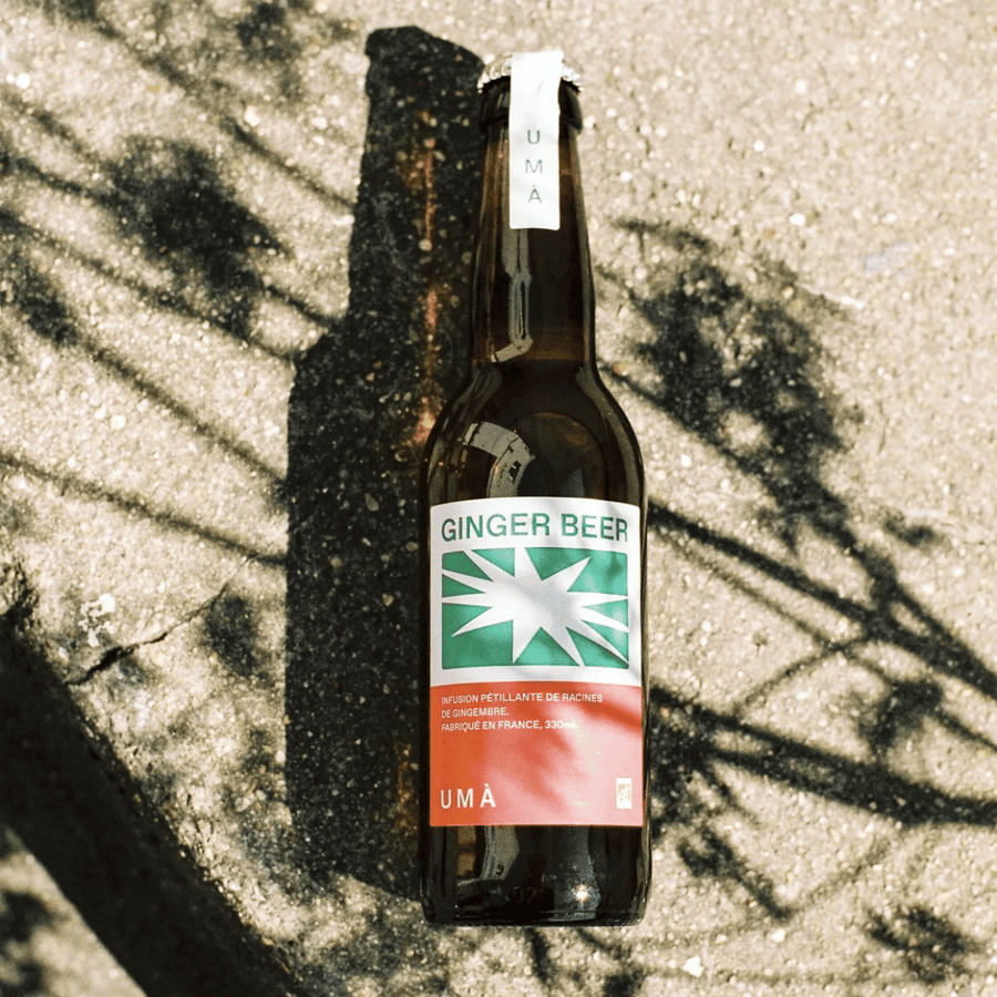 Bouteille de ginger beer bio avec étiquette colorée et bulle d'air