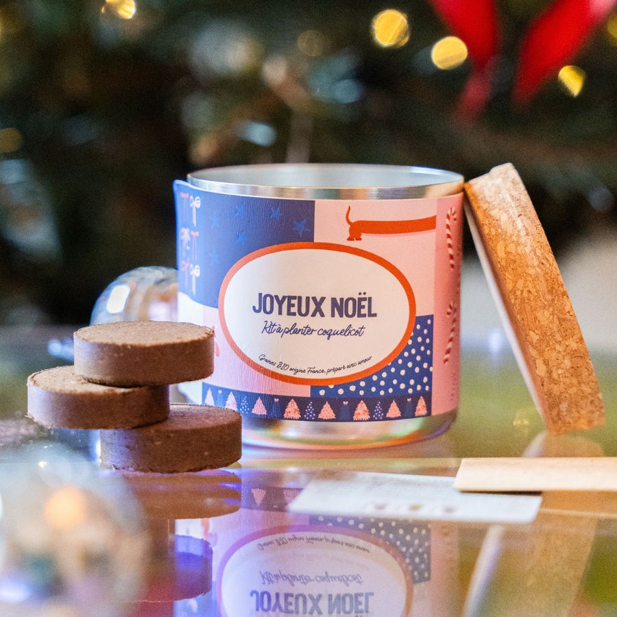 Kit à planter Joyeux Noël avec graines et instructions visibles