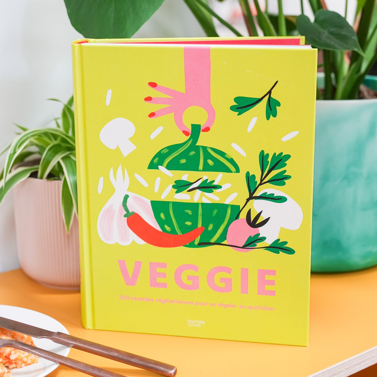 Livre recettes veggie 1