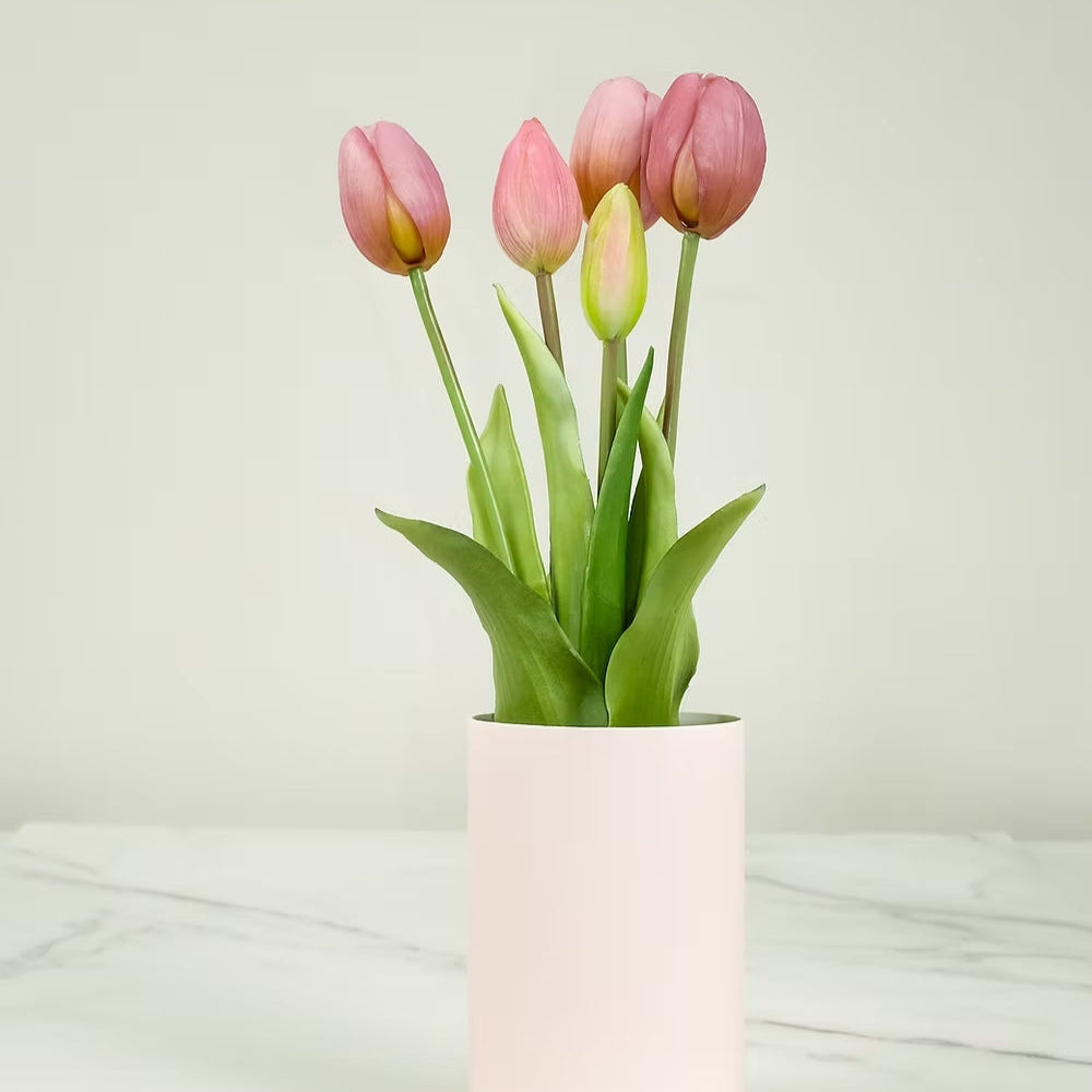 Bouquet de tulipes éternelles en rose foncé, vue de face.