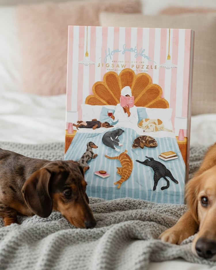 Puzzle illustrant des chats et chiens dans un cadre cocooning