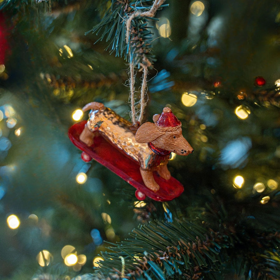 Boule de Noël teckel sur skateboard avec bonnet festif