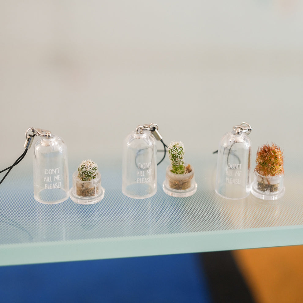 BabyPlante, le cactus miniature porte clé - Mieux Que Des Fleurs - 4