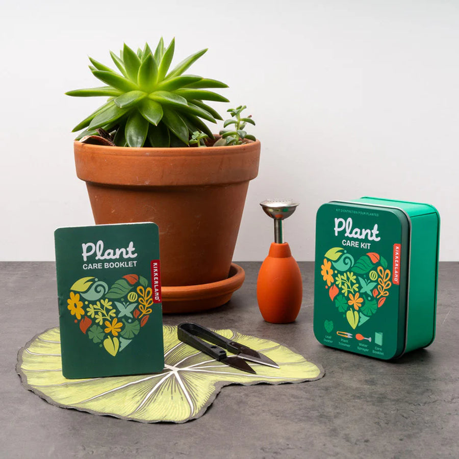 Kit d'entretien pour plantes avec outils en bois et métal