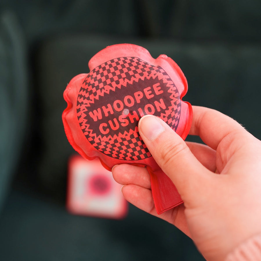 Mini coussin péteur en mode lifestyle sur un canapé