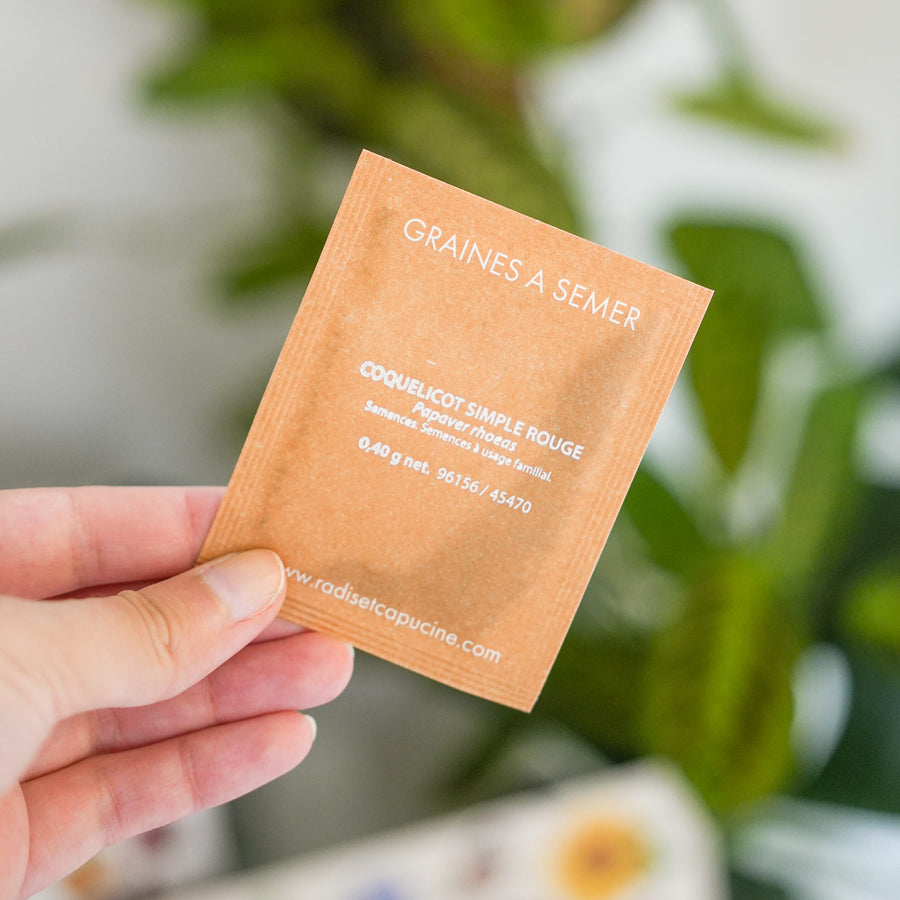 Sachets de graines de fleurs à papillon sur fond naturel