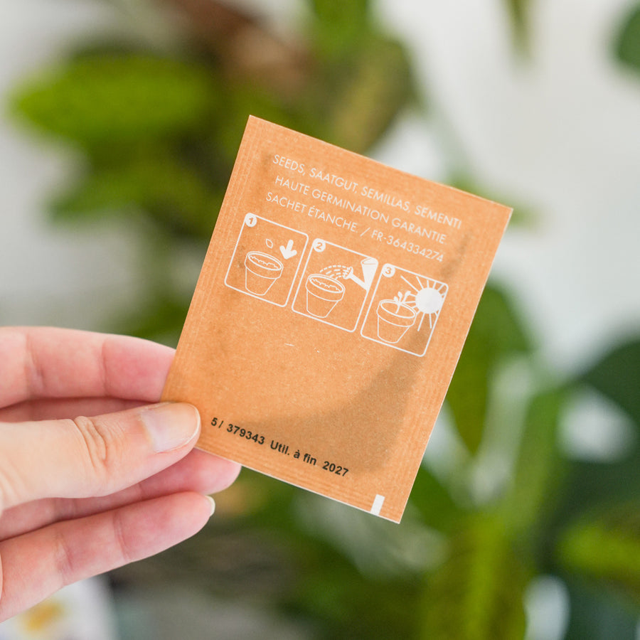 Sachets de graines de fleurs à papillon sur fond naturel