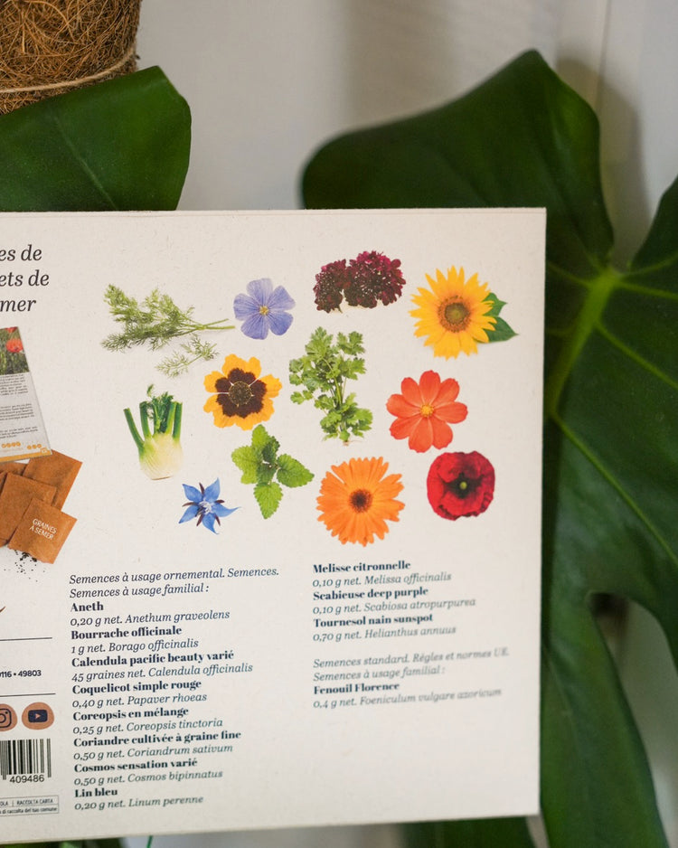 Sachets de graines de fleurs à papillon sur fond naturel