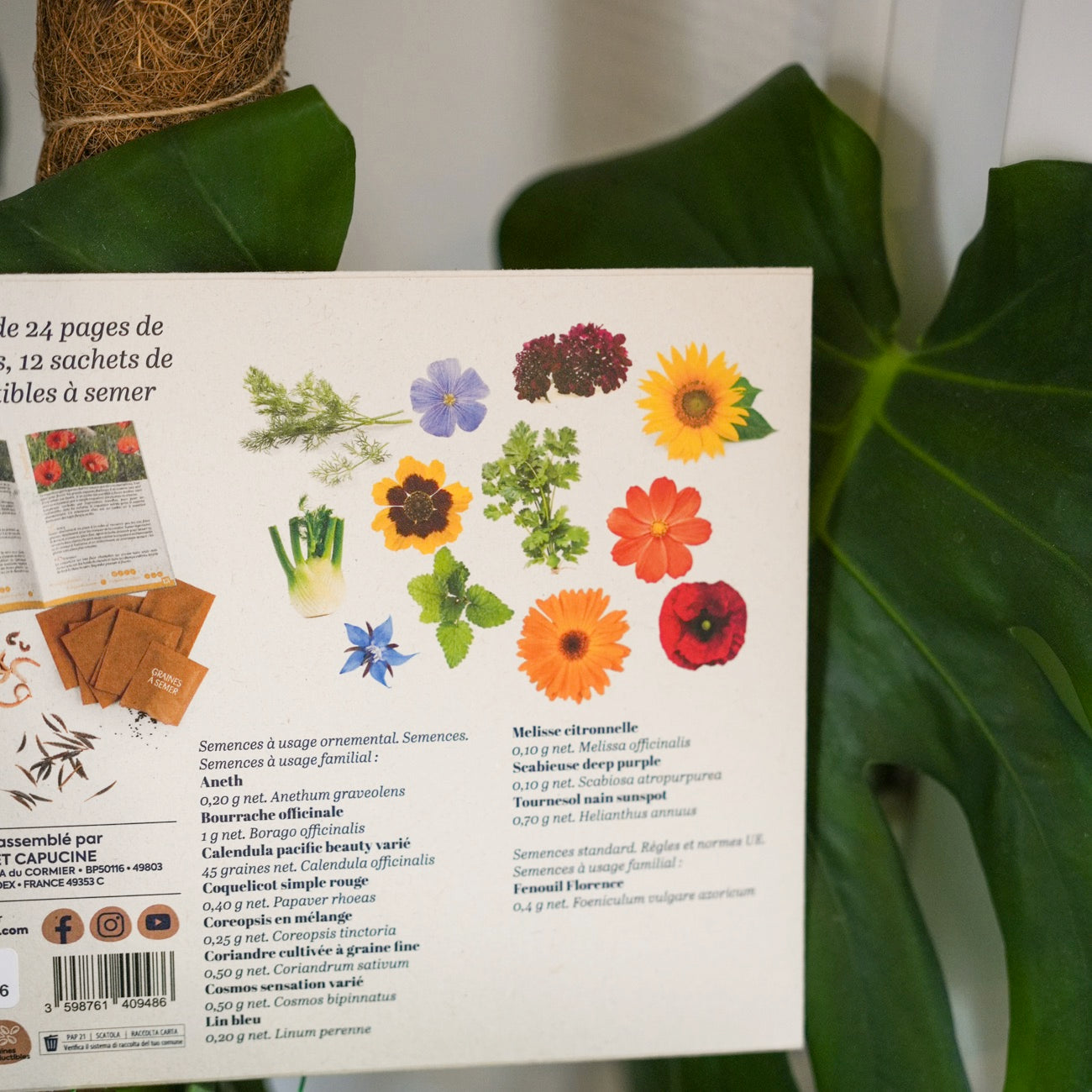 Sachets de graines de fleurs à papillon sur fond naturel