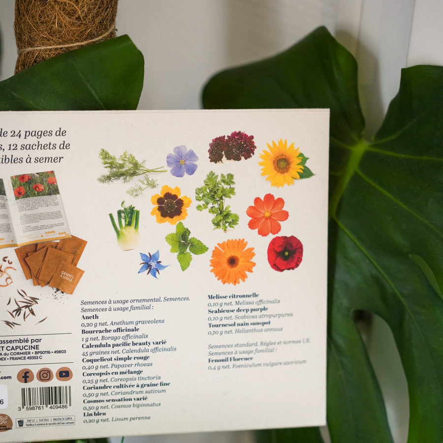 Sachets de graines de fleurs à papillon sur fond naturel