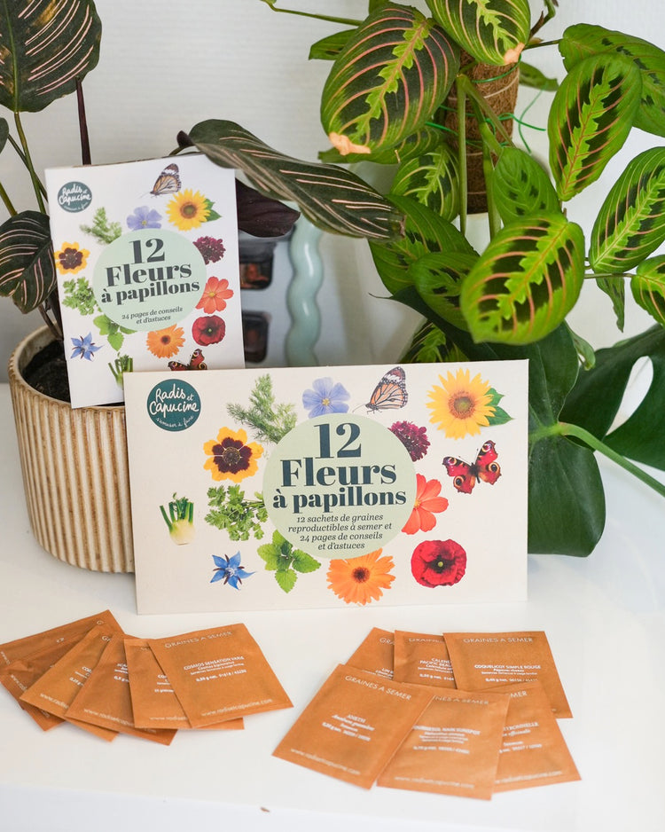 Sachets de graines de fleurs à papillon sur fond naturel