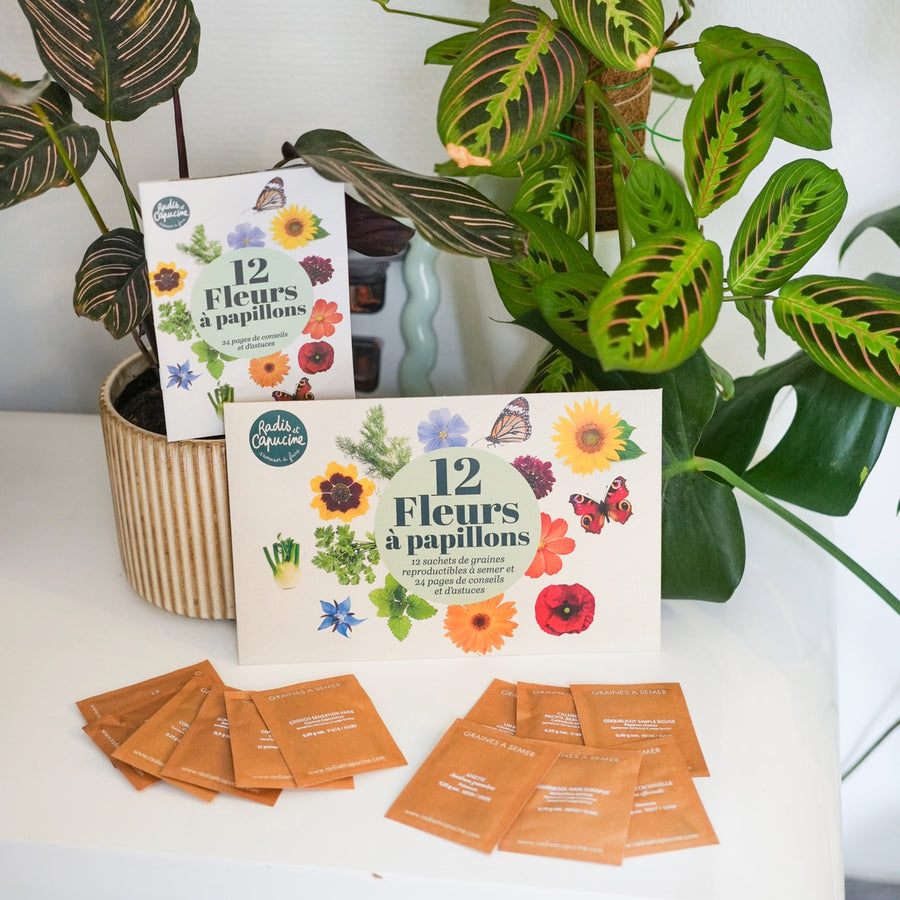 Sachets de graines de fleurs à papillon sur fond naturel