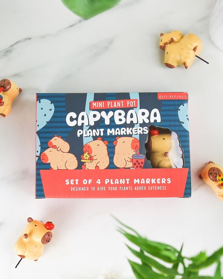 Planteur capybara avec système d'auto-arrosage, vue de face