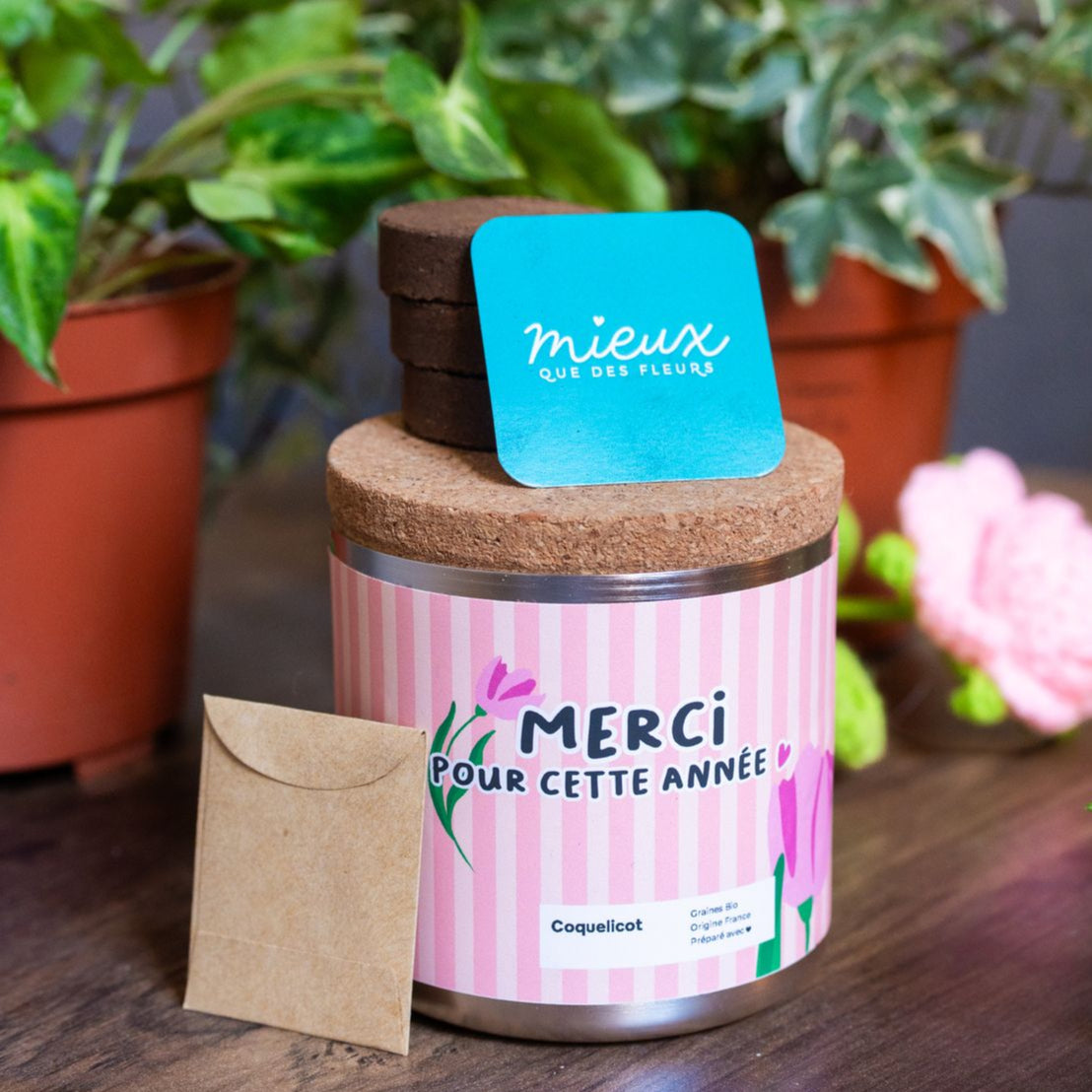 Kit à planter avec coquelicots, vue de dessus sur les graines.