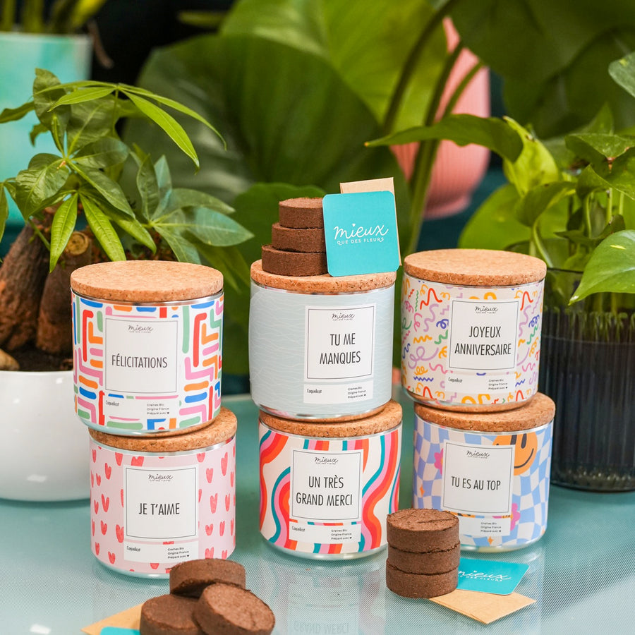 Kit à planter avec message et palet déshydraté visible