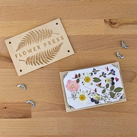 Kit DIY fleurs séchées avec fleurs colorées et outils de pressage