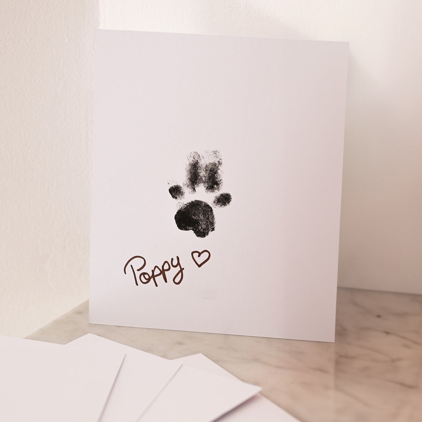 Kit d'empreinte pour animaux avec détails texturés