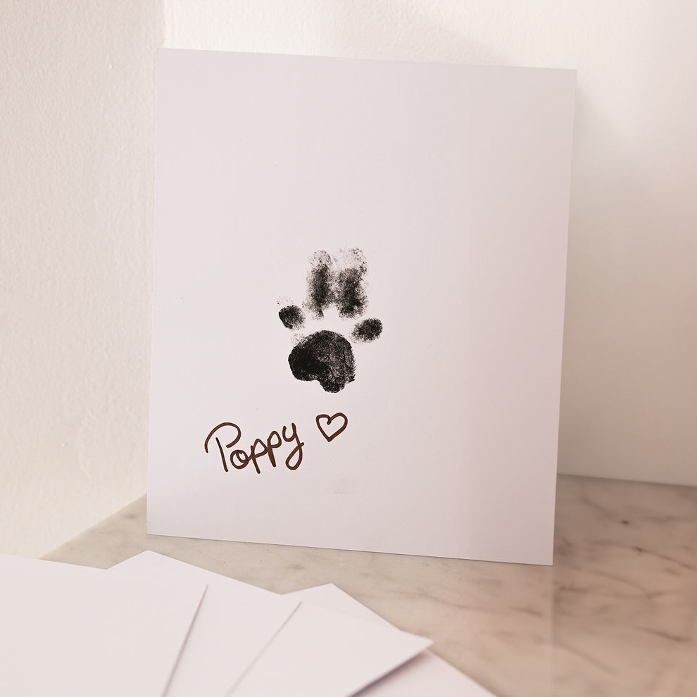 Kit Empreinte Chien & Chat  Pawprint'Dog – Mieux Que Des Fleurs