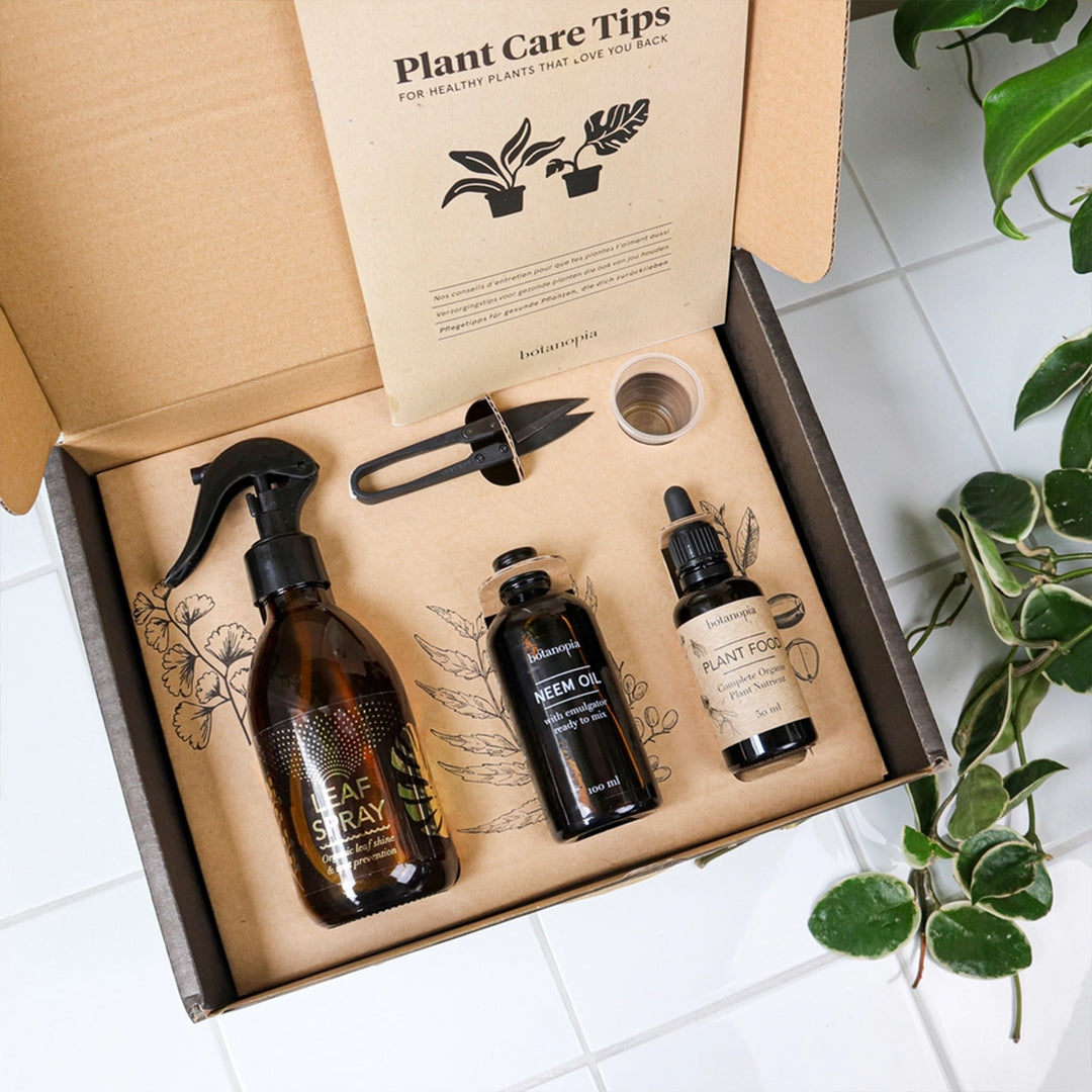 Coffret d'entretien pour plantes