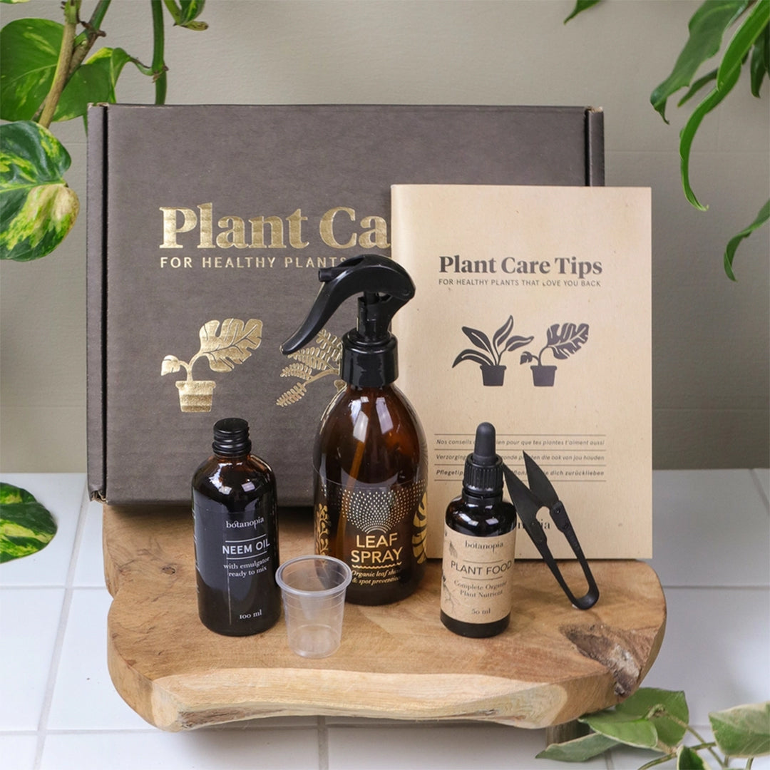 Coffret d'entretien pour plantes