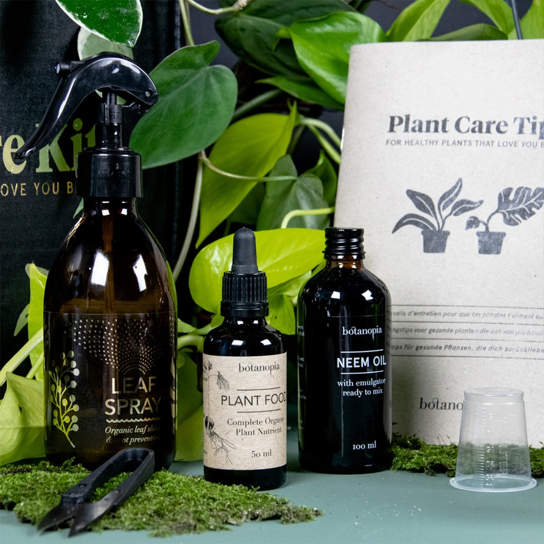 Coffret d'entretien pour plantes