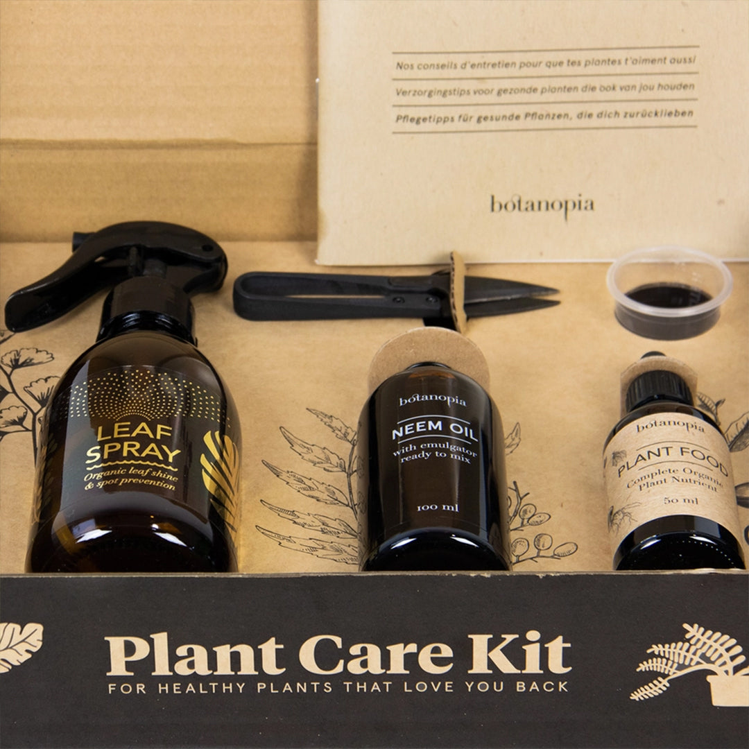 Coffret d'entretien pour plantes