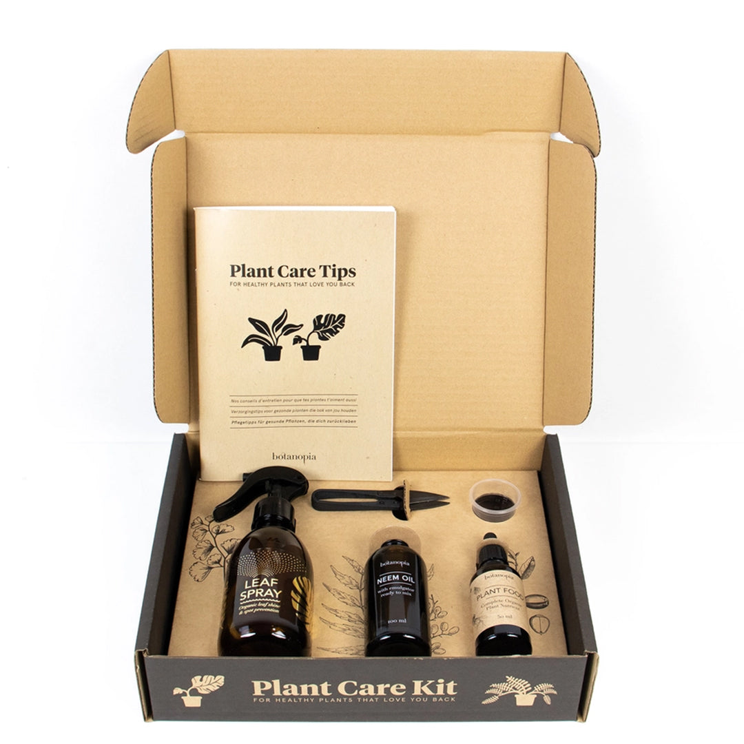 Coffret d'entretien pour plantes