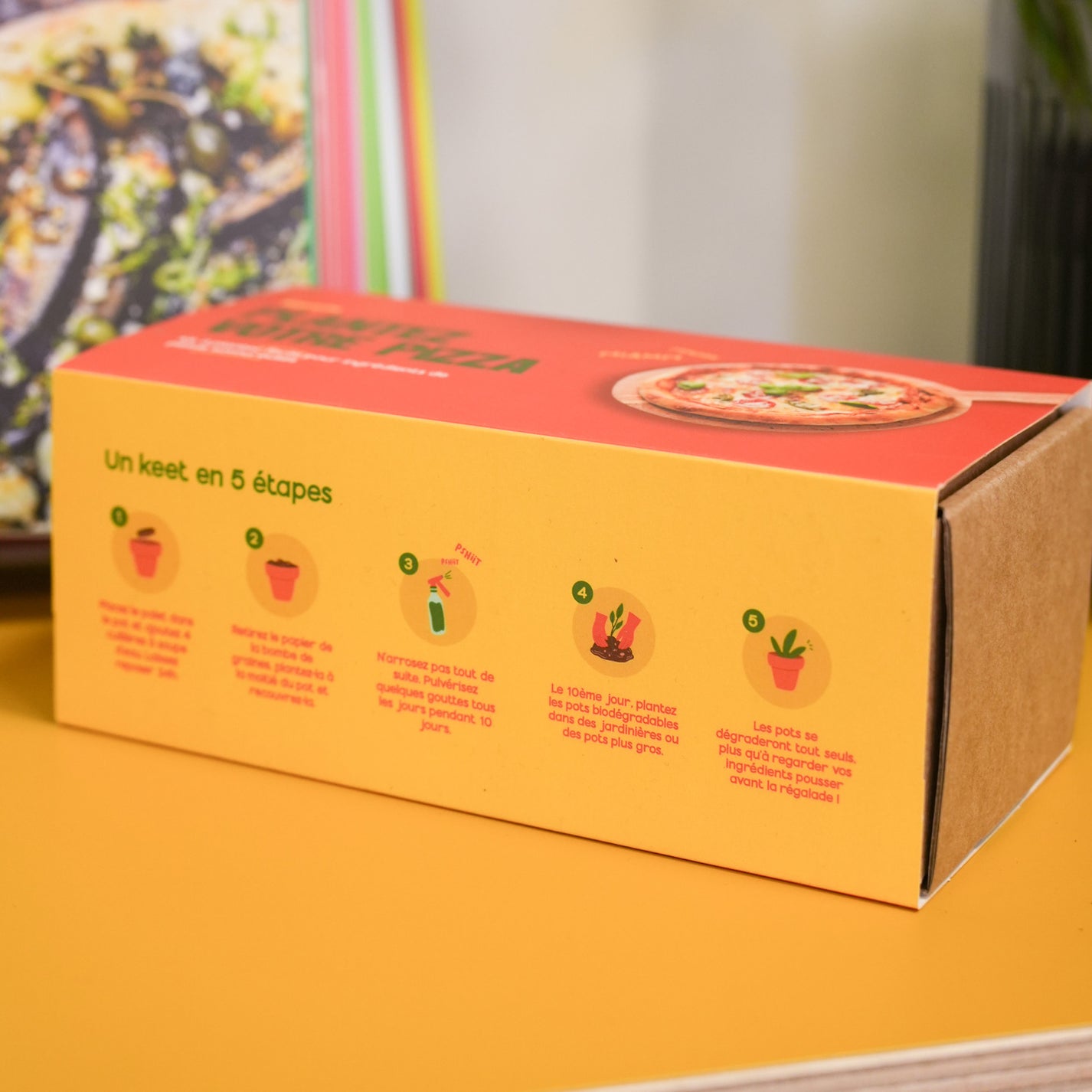 Kit de plantation avec pots en terre cuite et étiquettes en bois.