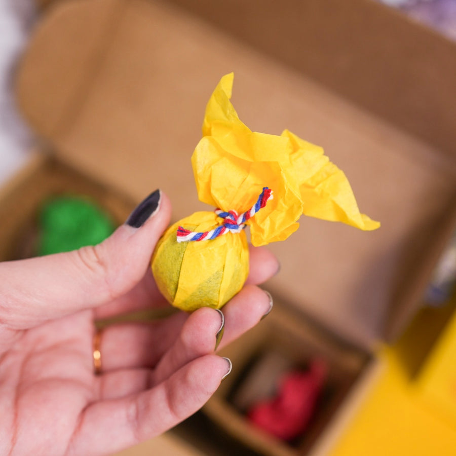 Kit de plantation avec pots en terre cuite et étiquettes en bois.