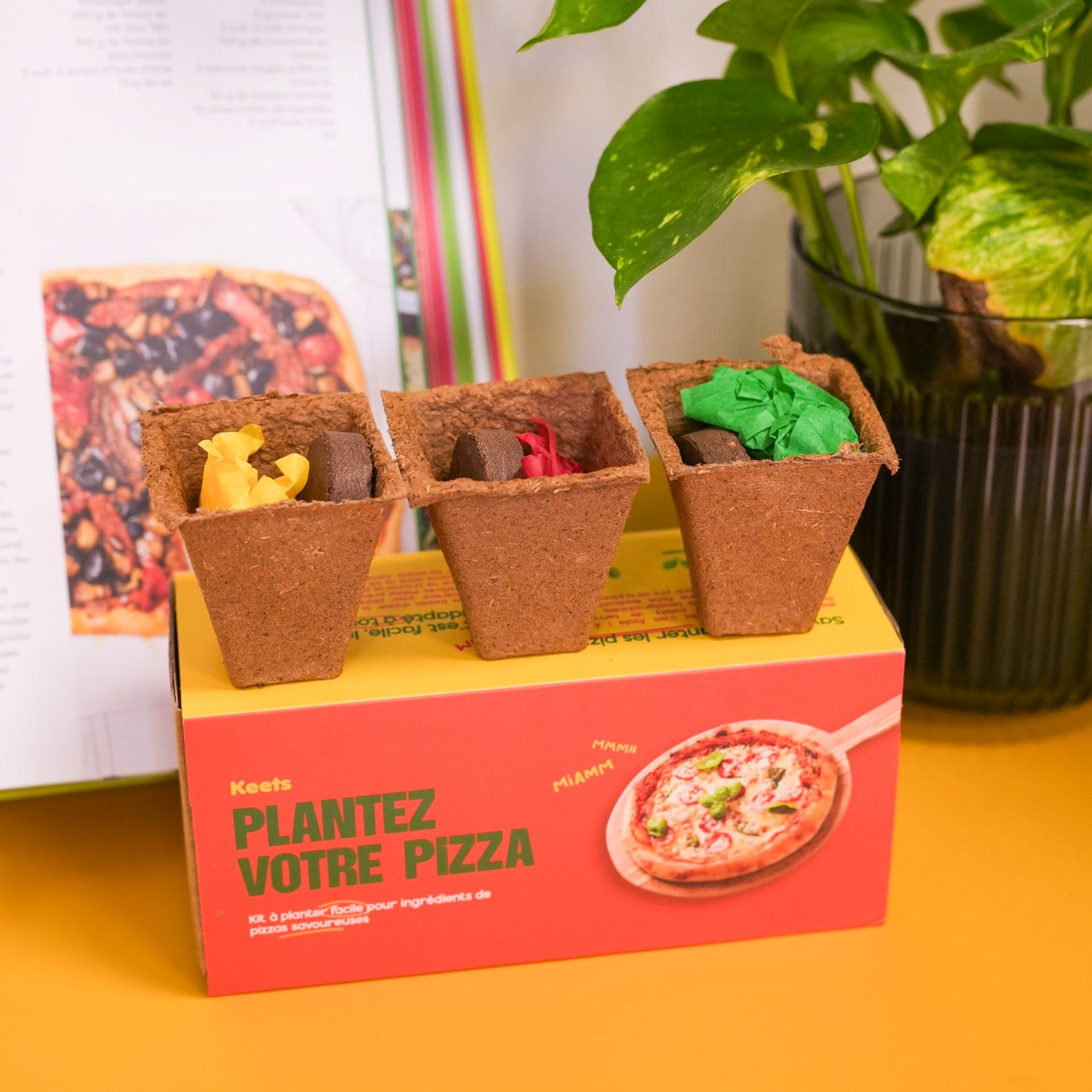 Kit de plantation à pizza - Mieux que des fleurs