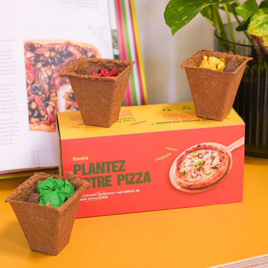 Kit de plantation avec pots en terre cuite et étiquettes en bois.