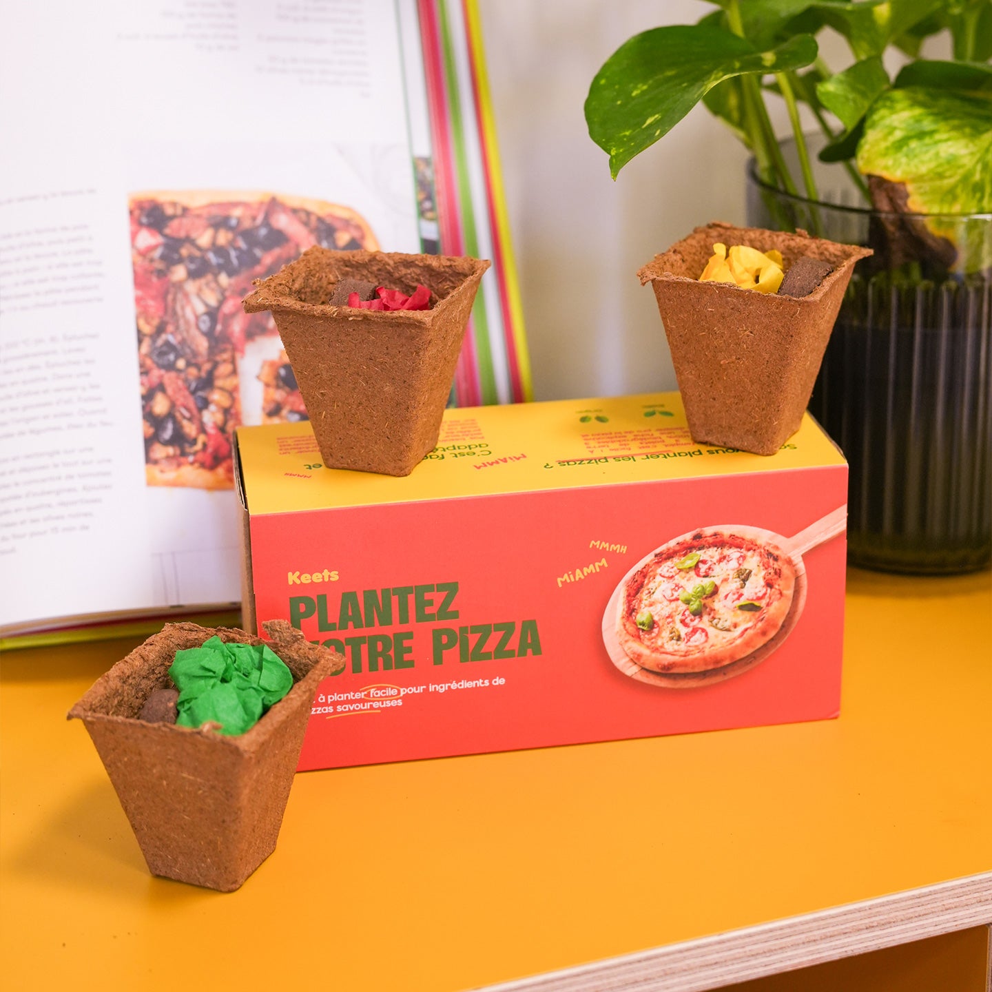 Kit de plantation à pizza - Mieux que des fleurs