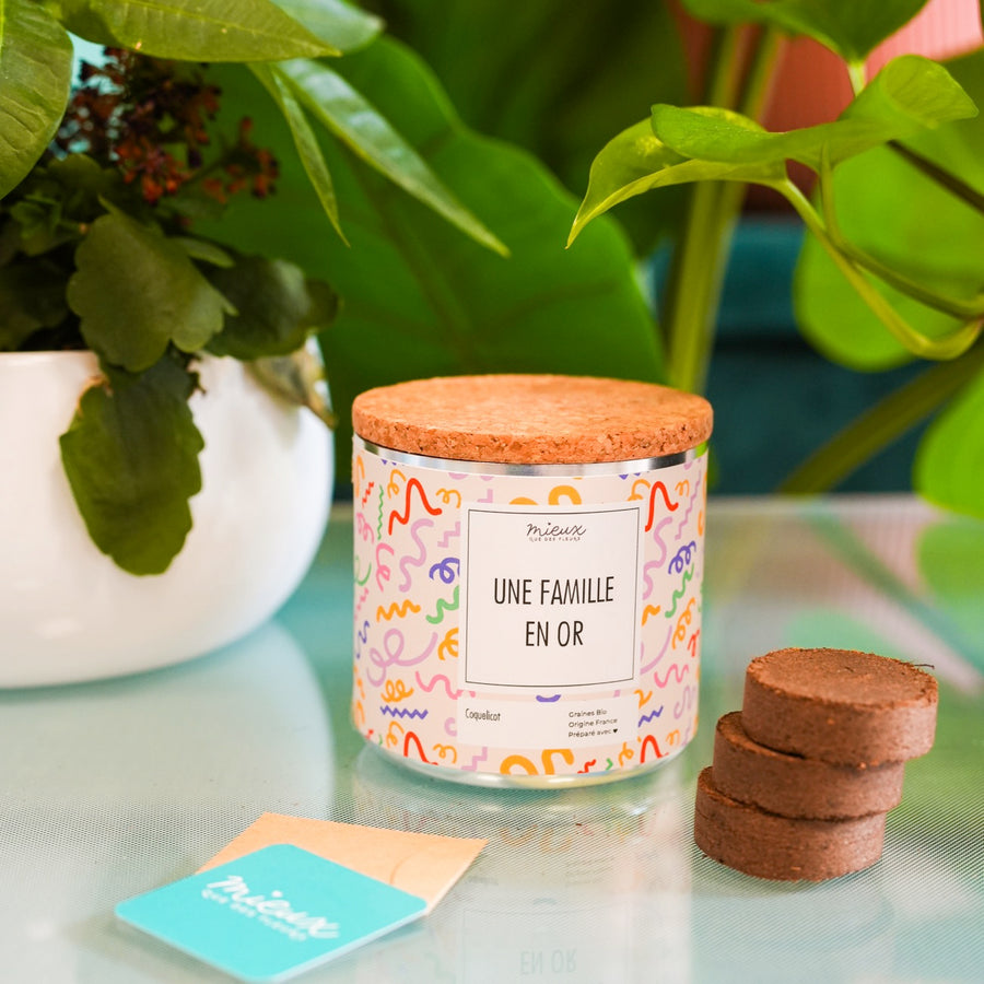 Kit à planter avec message, palets de terre et graines visibles.