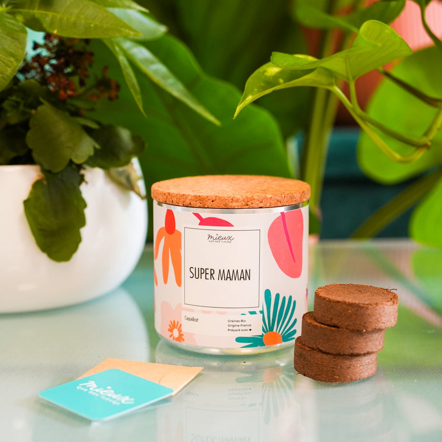 Kit à planter avec message 'Ma famille en or' en gros plan