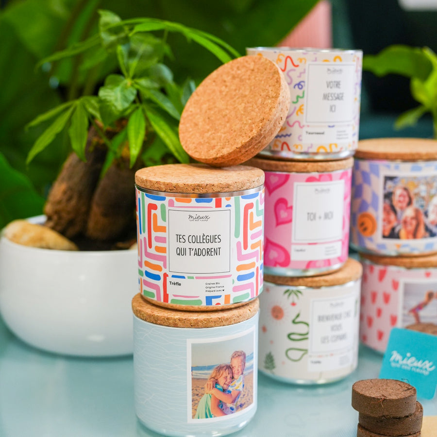 Kit à planter avec photo personnalisée et graines colorées