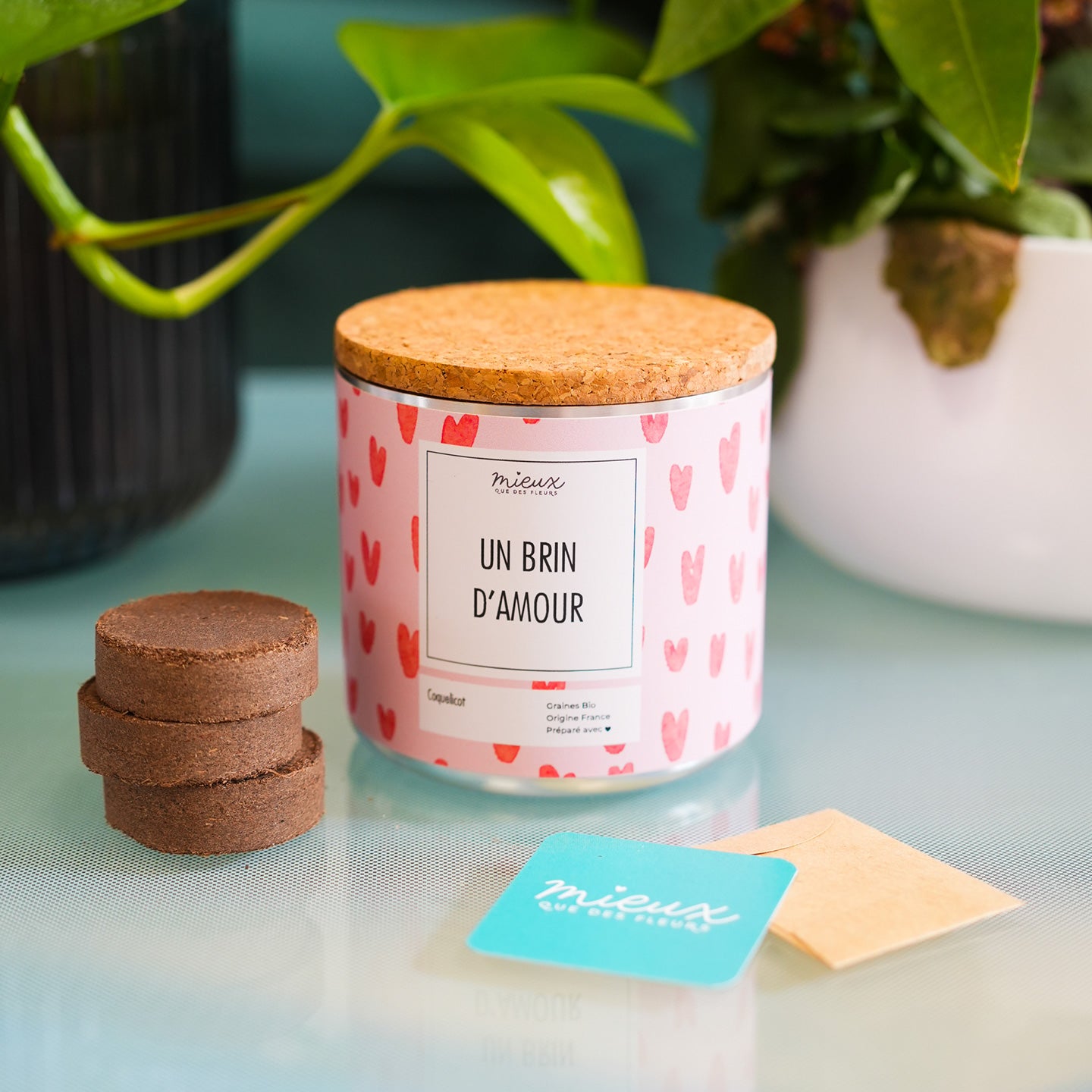 Kit de fleurs à planter